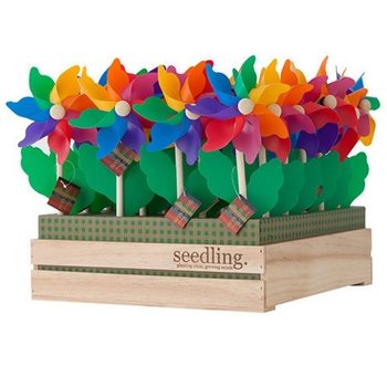 SEEDLING - WINDMOLENS IN DISPLAY (20st.)