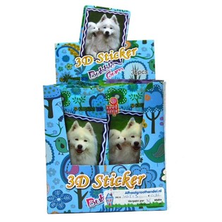 3D STICKER MET BUBBLEGUM (36st.)