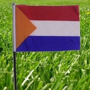 NEDERLANDSE VLAG (22st)