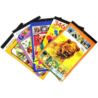 MIXPARTIJ STICKERBOEKJES (108st.)
