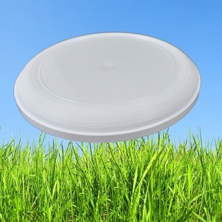 STANDAARD FRISBEE 21 CM. (25st.)