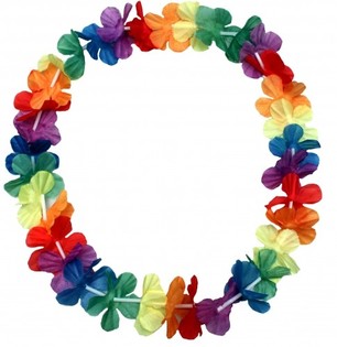 HAWAII KRANSEN (48st.)