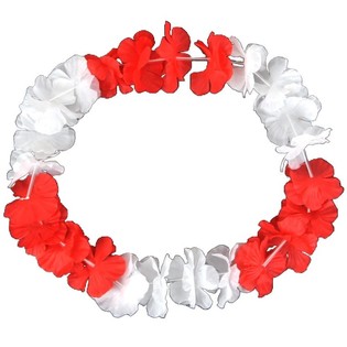 HAWAII KRANSEN ROOD/WIT (50st.)