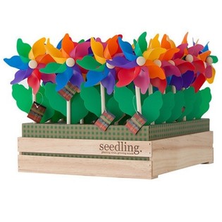 SEEDLING - WINDMOLENS IN DISPLAY (20st.)