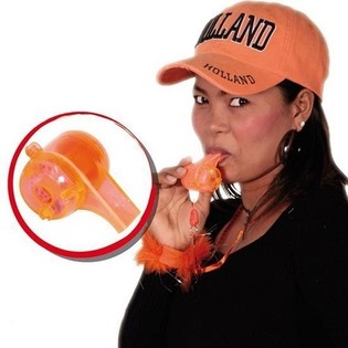 GROTE ORANJE FLUIT + LICHT  IN DISPLAY (24st.)