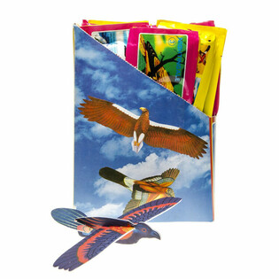 VOGEL FOAM VLIEGTUIGEN IN DISPLAY (48st.)